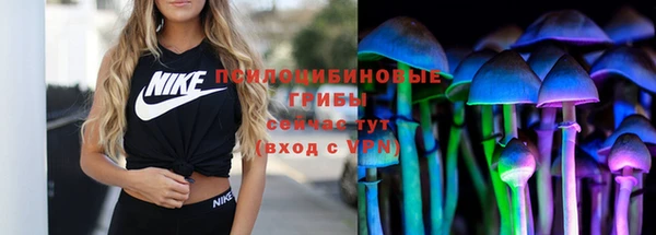 гашик Беломорск