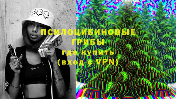 гашик Беломорск