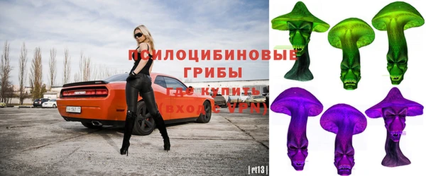 гашик Беломорск