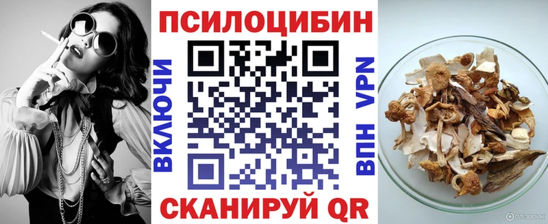 гидра tor  Воркута  Псилоцибиновые грибы ЛСД 